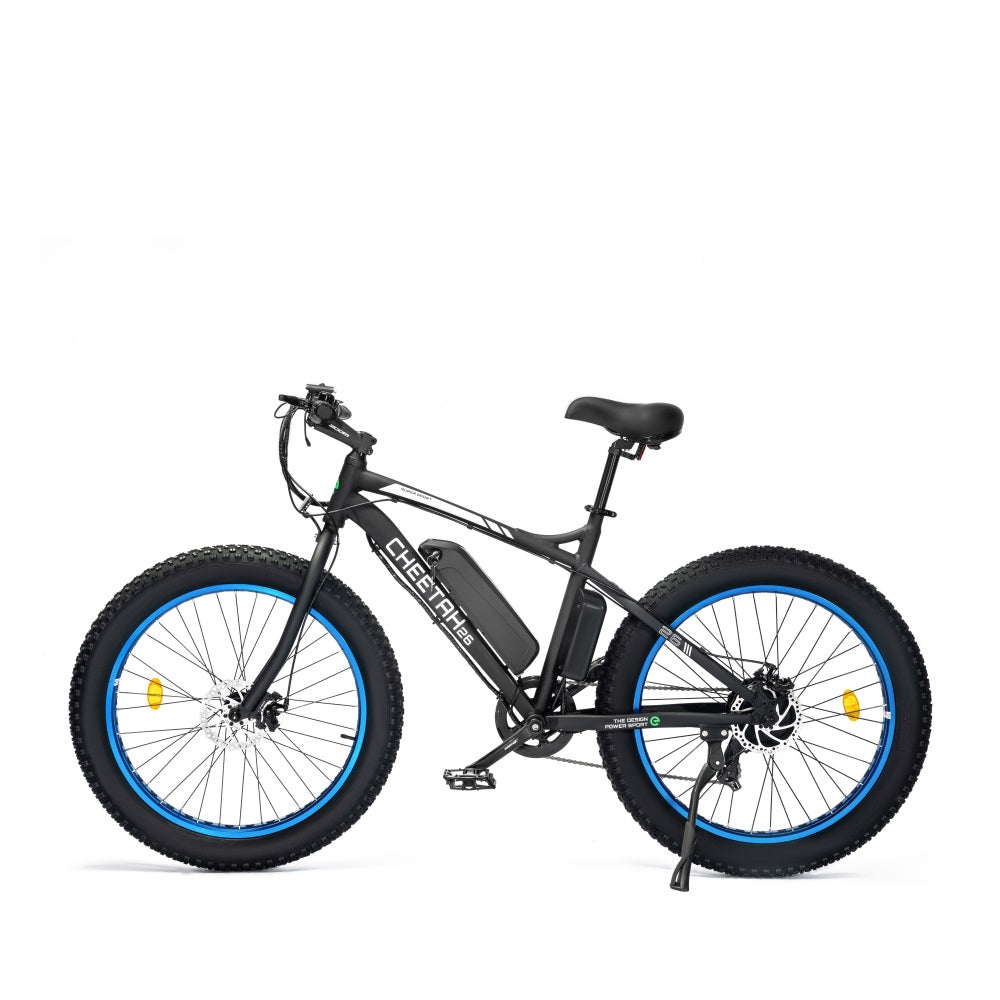 Fat Tire Beach Snow Electric Bike-senior - 1